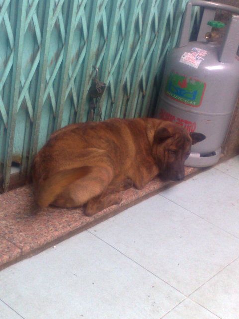 sáng này nhà em làm từ thiện,mệt quá chừng mà dzui - 13