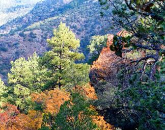 The Davis Mountains