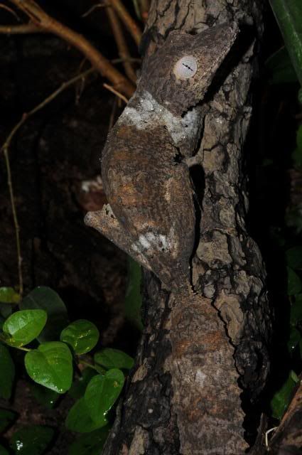 AAA_0709-1.jpg