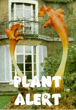 triffid01.gif