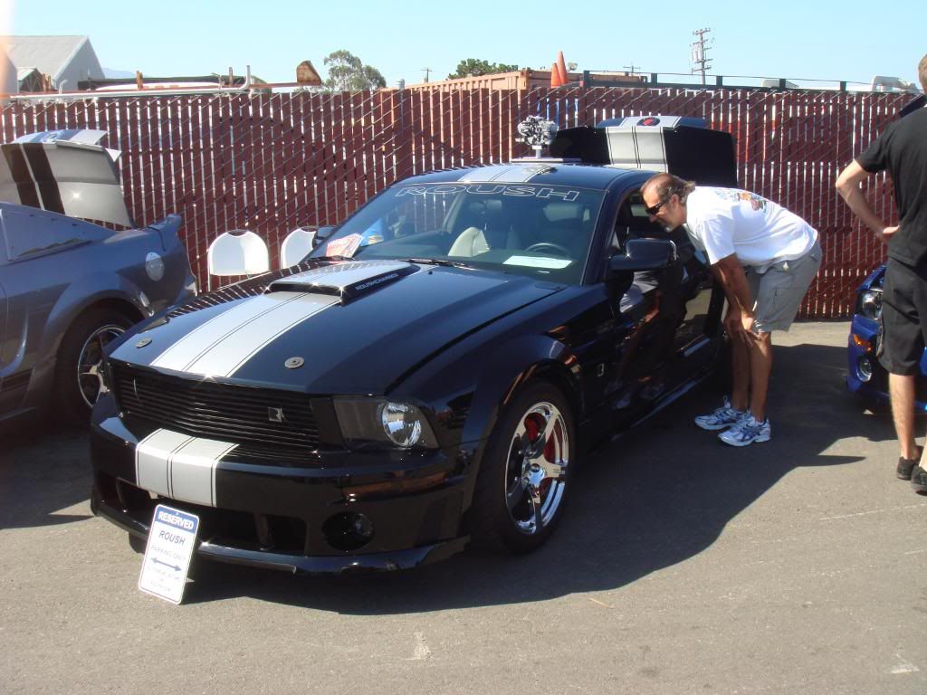 DSC01541.jpg