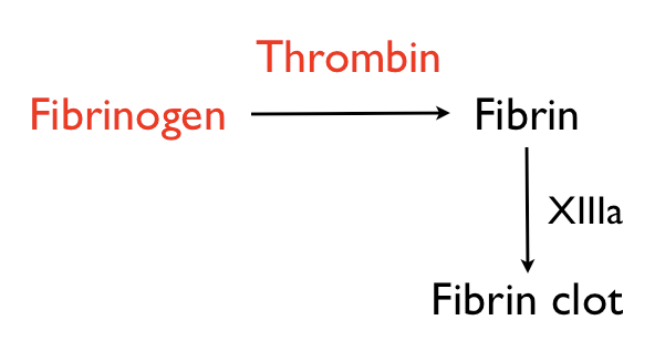 fibrin glue