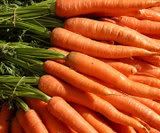 carrots Pictures, Images and Photos