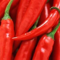 chilli Pictures, Images and Photos