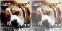 Check out Xsara's Artworks