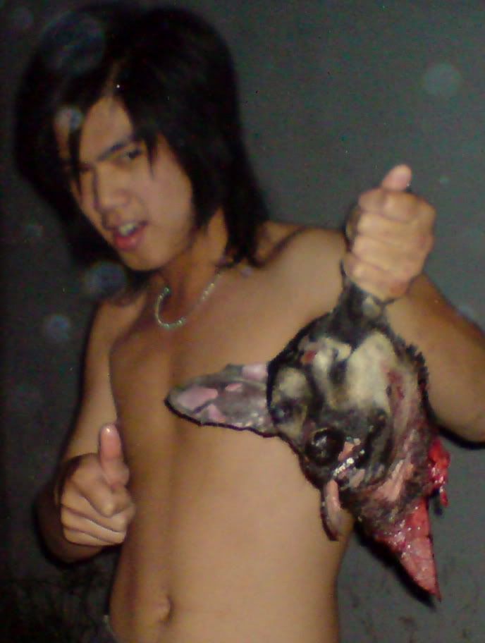 Vì sao không nên ăn thịt chó (bài sưu tầm)