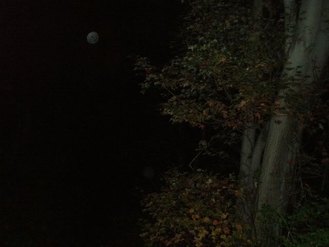 ORBS FOLLOWING ME ON HAUNTED TRAIL