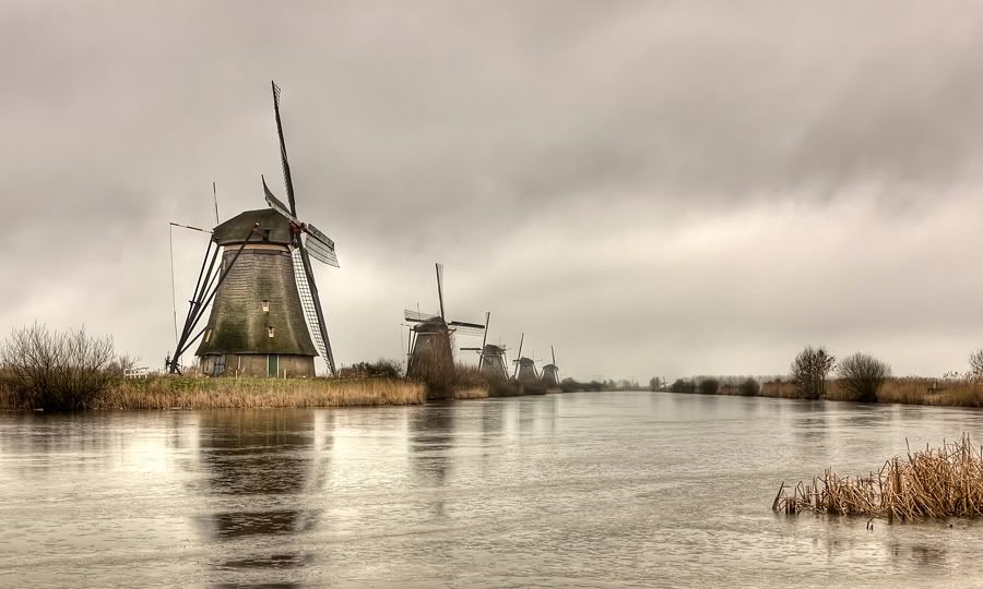 Fotografie