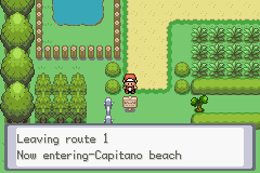 Pokemon Orange Sands......