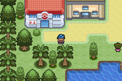 Pokemon: Endigo Islands, The tropical adventure of a lifetime.