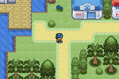 Pokemon: Endigo Islands, The tropical adventure of a lifetime.