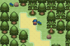 Pokemon: Endigo Islands, The tropical adventure of a lifetime.