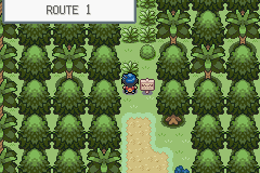 Pokemon: Endigo Islands, The tropical adventure of a lifetime.