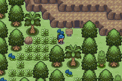 Pokemon: Endigo Islands, The tropical adventure of a lifetime.