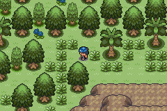 Pokemon: Endigo Islands, The tropical adventure of a lifetime.