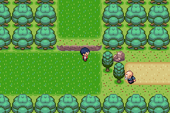 [PokeCommunity.com] Pokemon Aurora nights