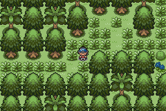 Pokemon: Endigo Islands, The tropical adventure of a lifetime.